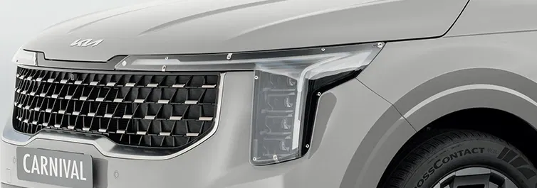 Headlamp Protectors