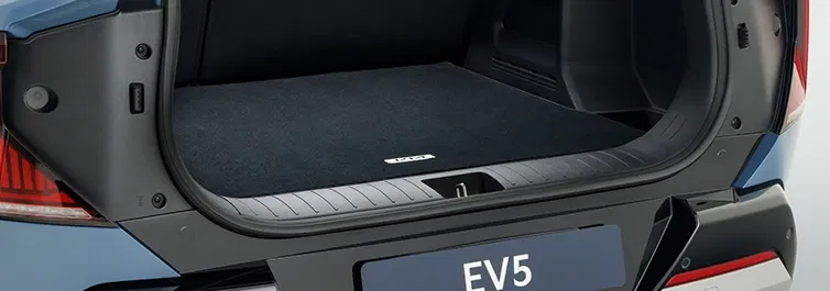 Carpet Cargo Mat