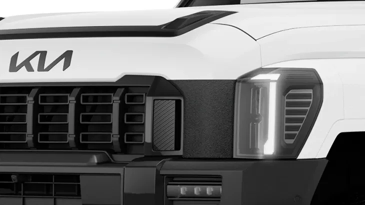 Grille - Headlight Moulding