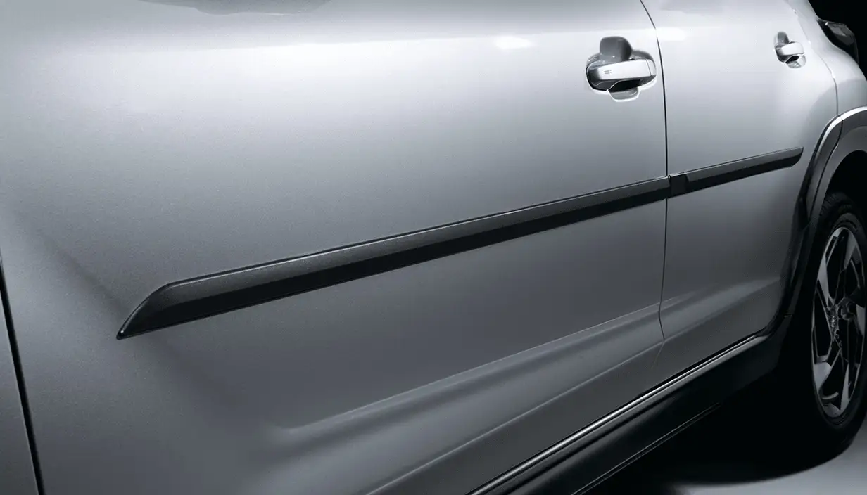 Body Side Moulding (painting required)