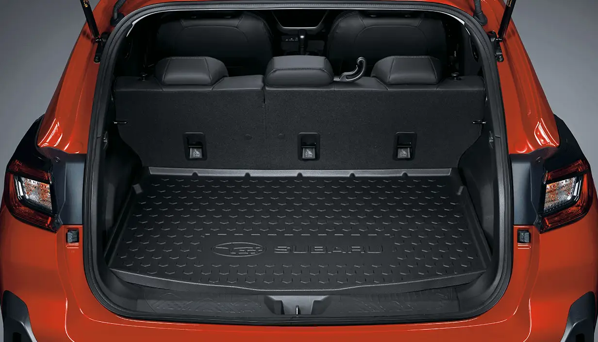 Cargo Tray