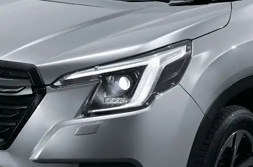 Headlamp Protectors
