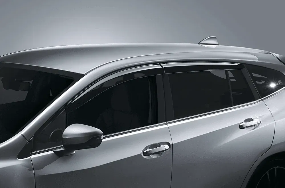 Door Visor