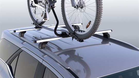 Bicycle Carrier
