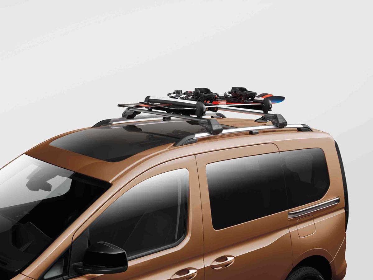 Ski and snowboard carrier