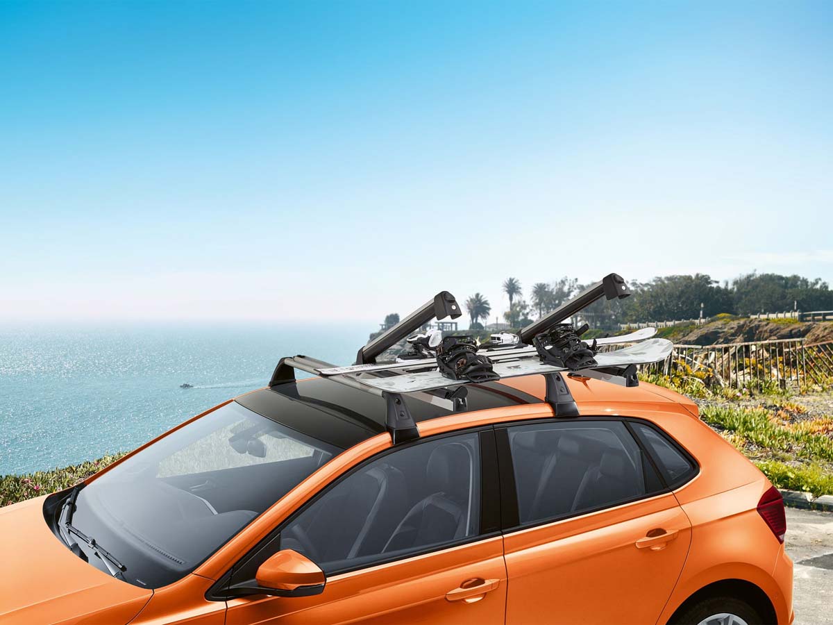 Ski and snowboard carrier