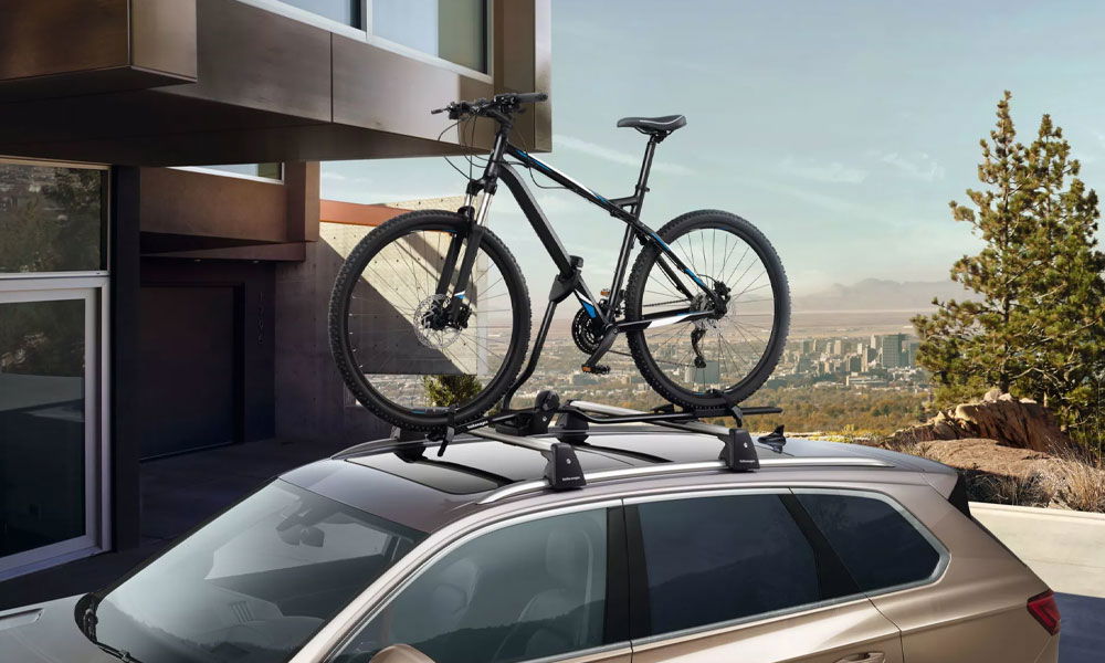 Bicycle carrier