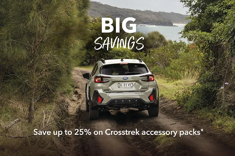 Big Savings