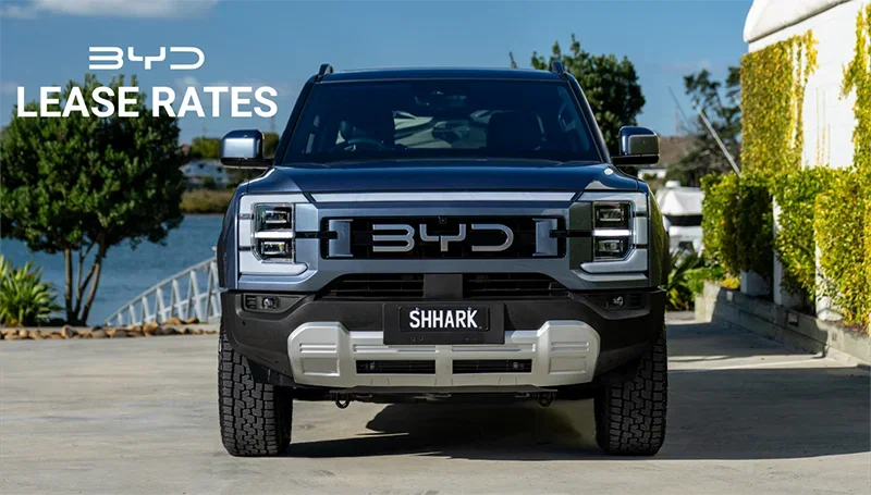 Shark 6