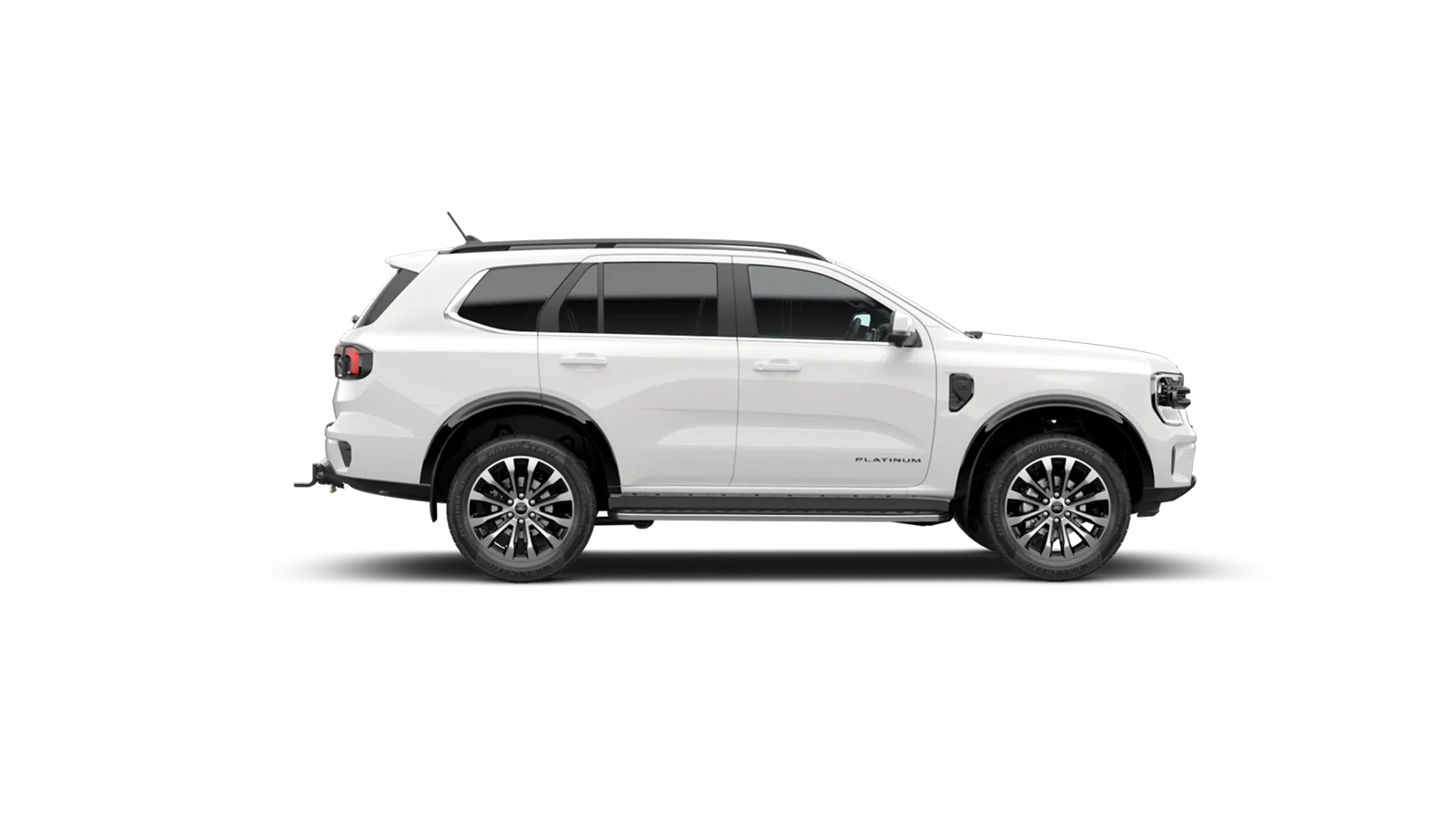 Everest Platinum
