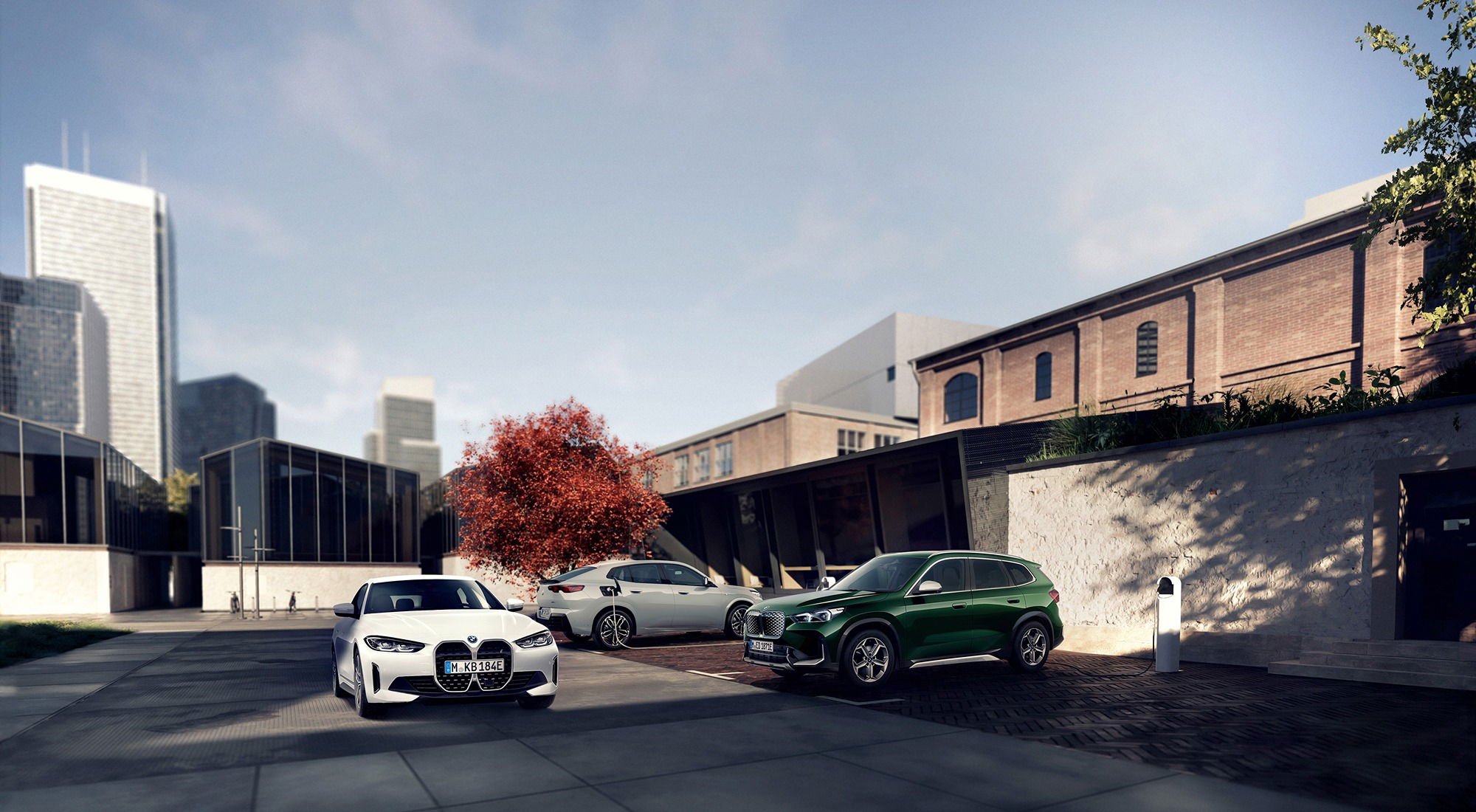 Macarthur BMW