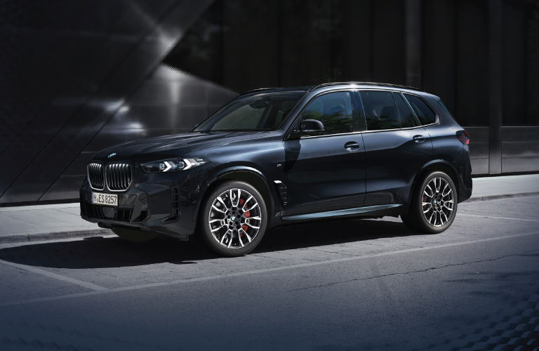 The BMW X5 Shadow Edition