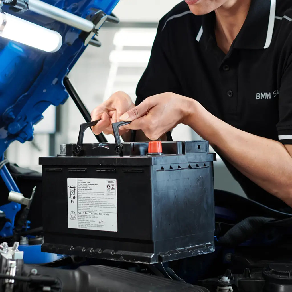 Genuine BMW Batteries