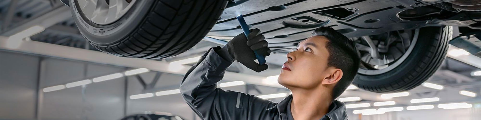 ASSURANCE SHIELD PROGRAMME