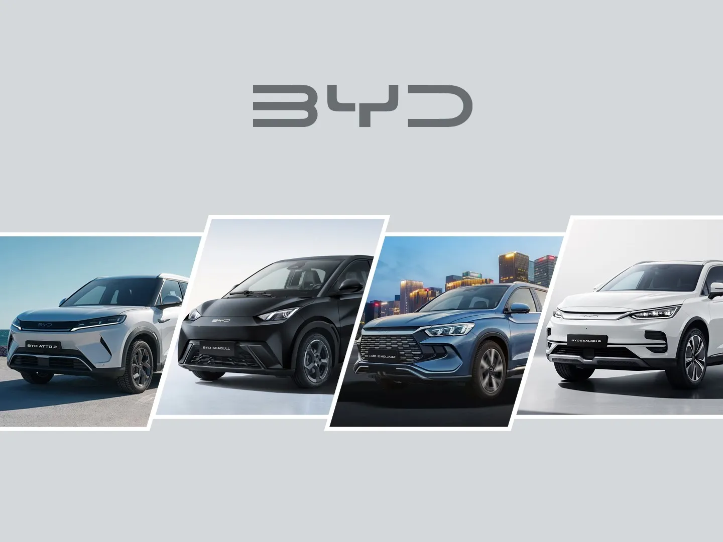 BYD NZ