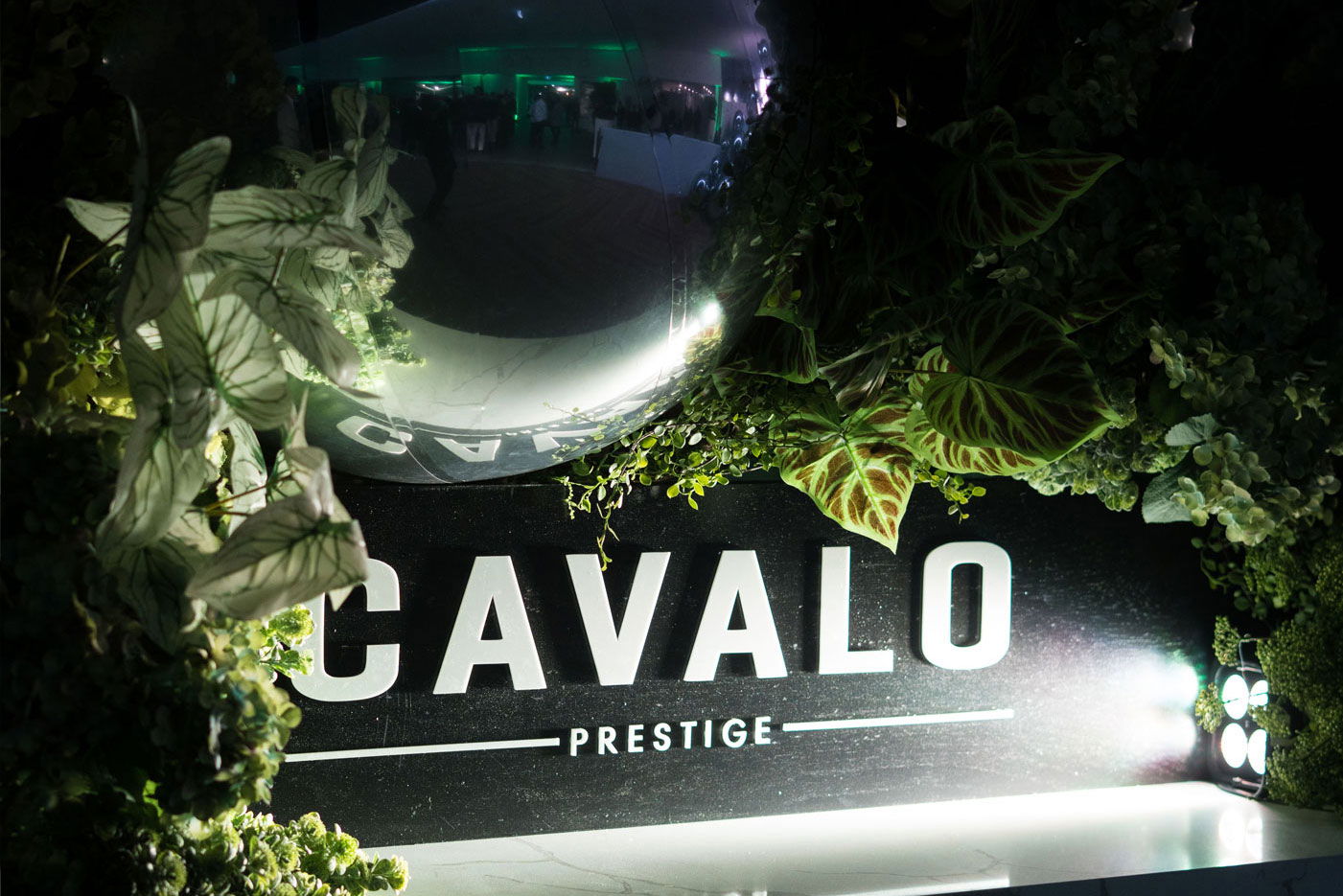 Launch Event gallery image 34