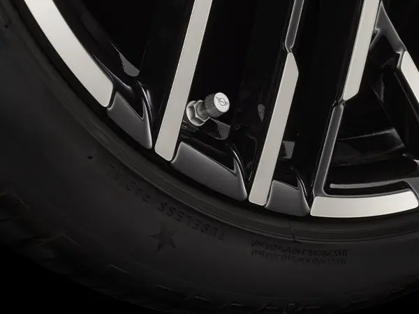 MINI Brake Discs Service