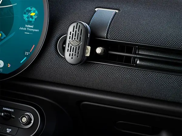 MINI Brake Discs Service