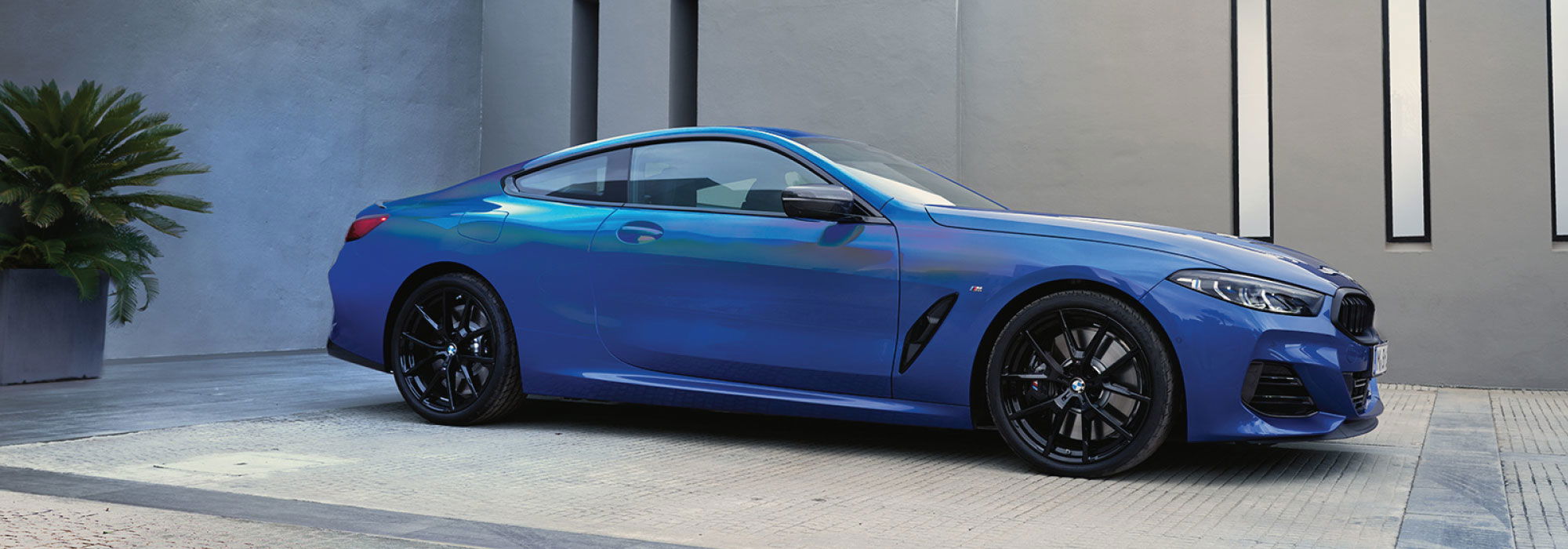 BMW 8 Series