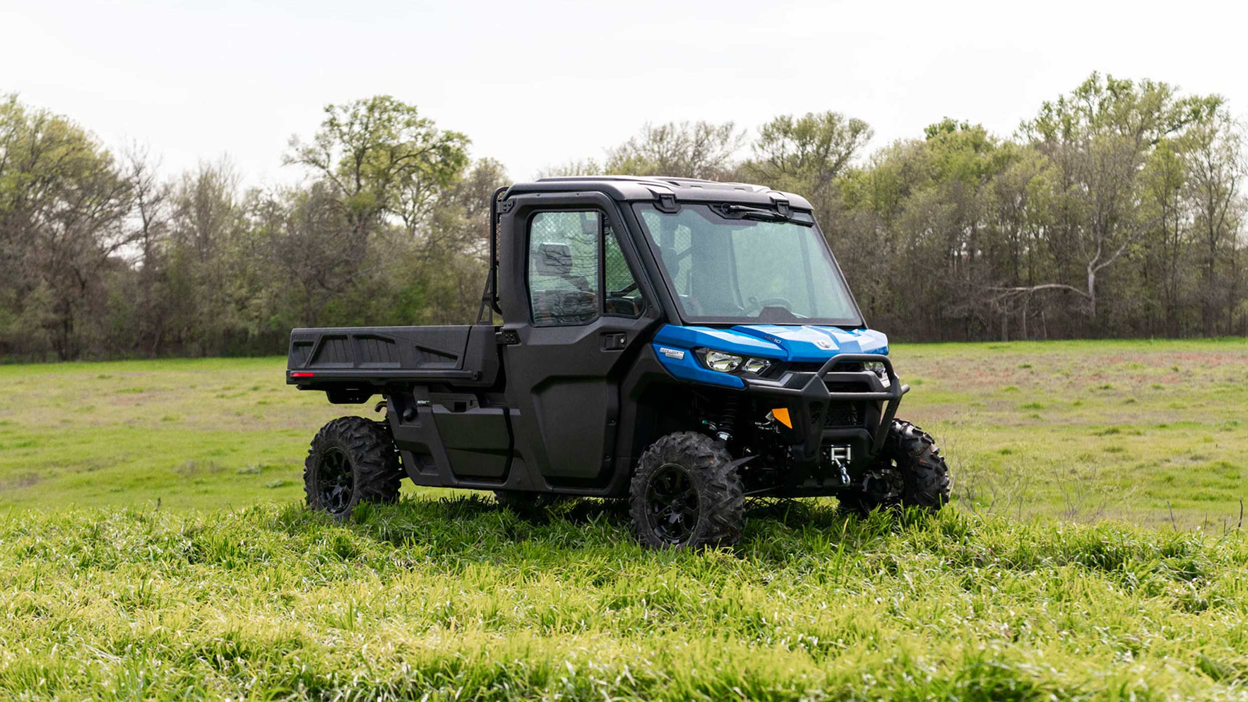 defender