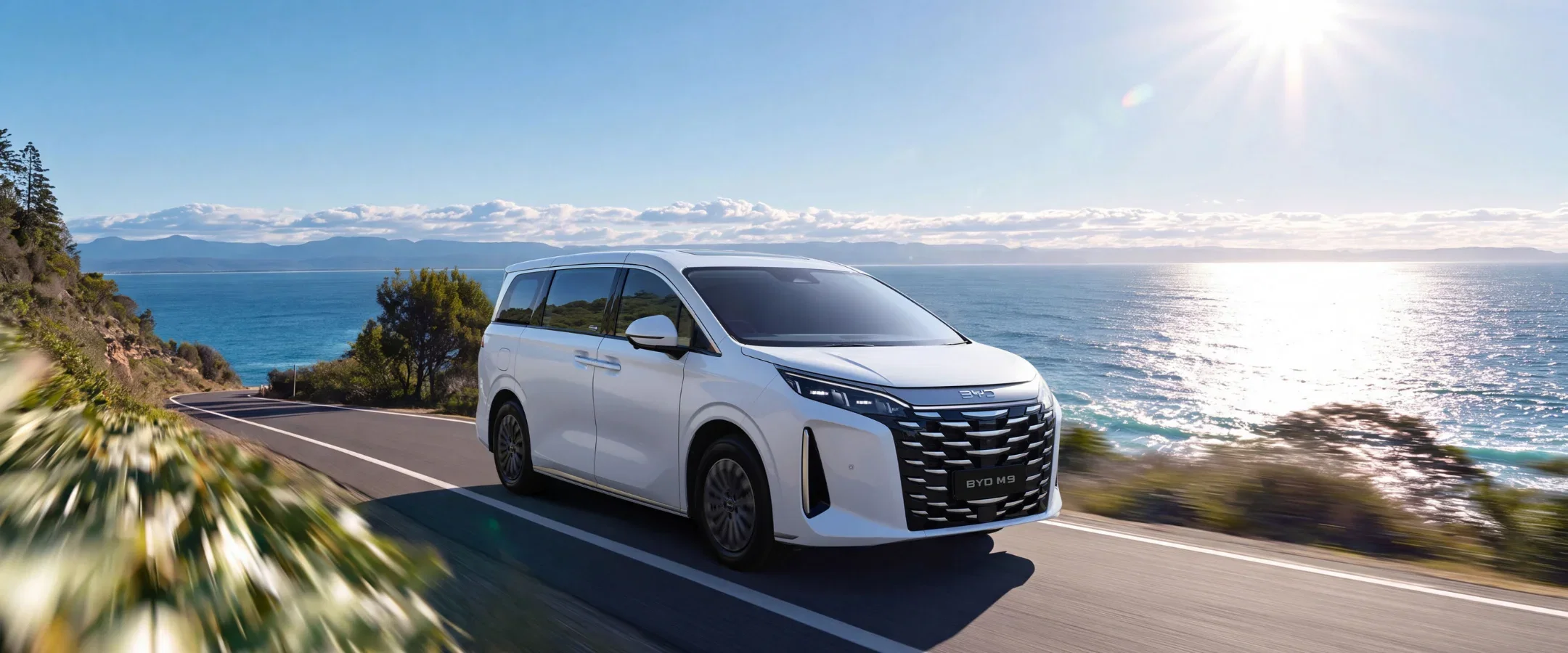 BYD M9