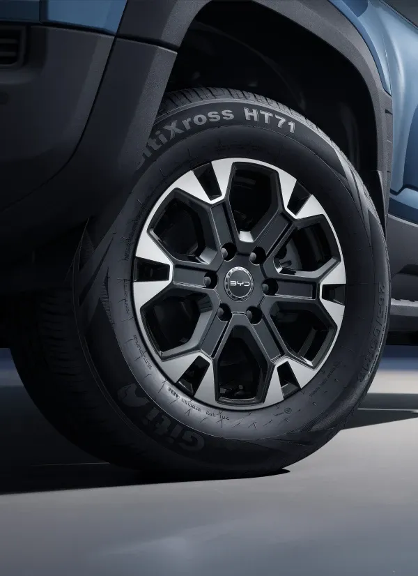 BYD Shark 6