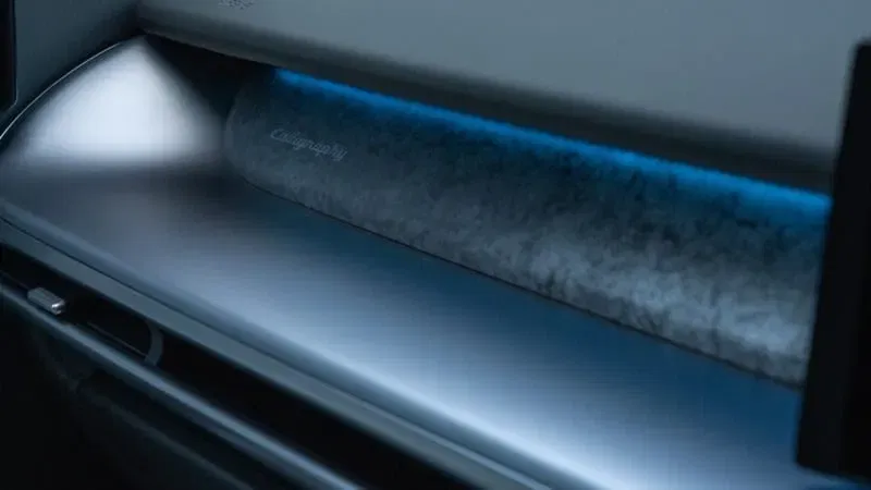 Ioniq 9