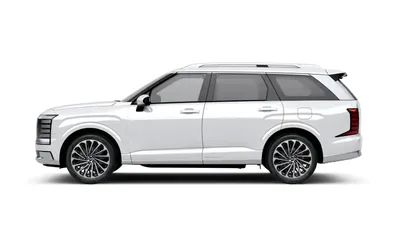 New Hybrid Palisade
