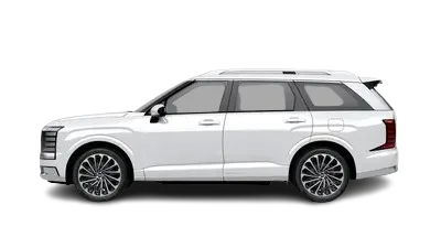 New Hybrid Palisade