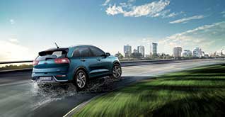 Niro Plus