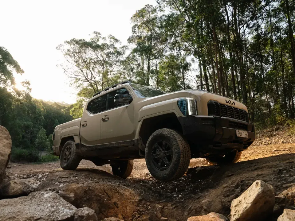 Tasman