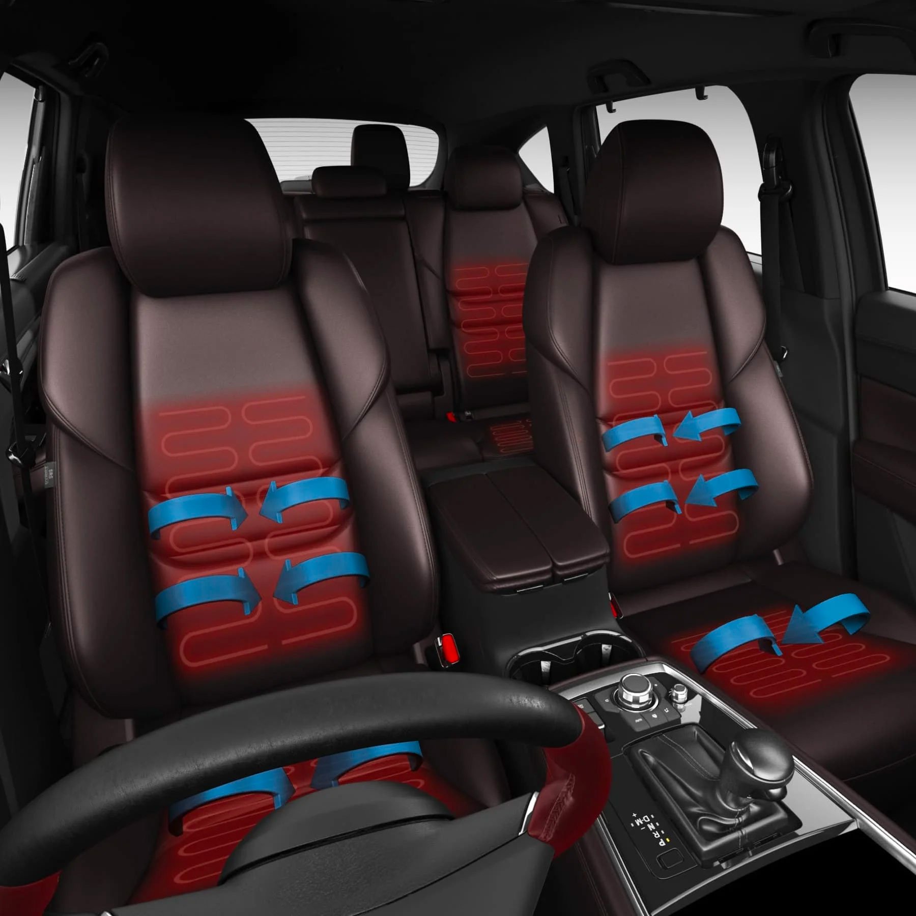 Heated & Ventilated seats & Heated Steering Wheel