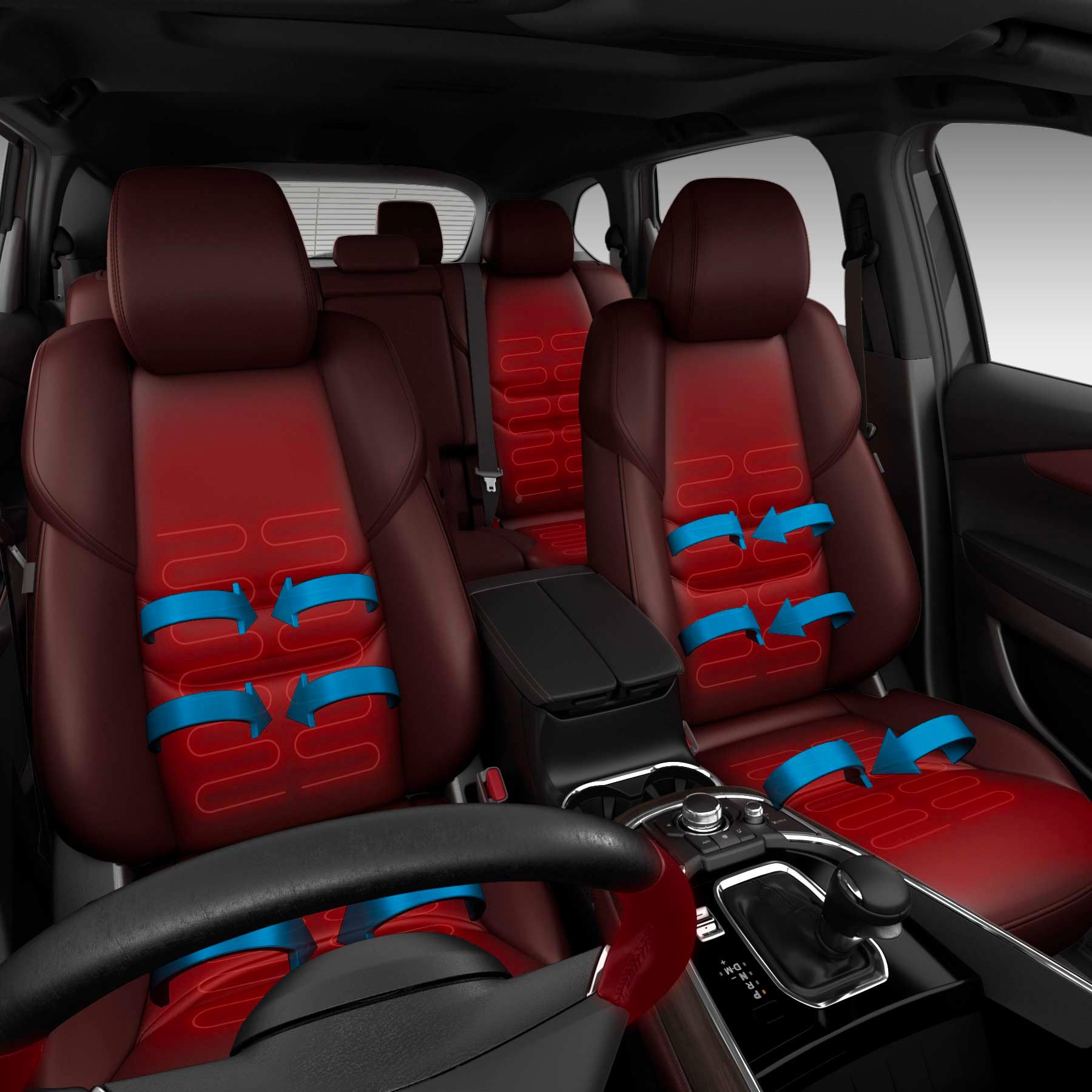 Heated & Ventilated Seats & Heated Steering Wheel