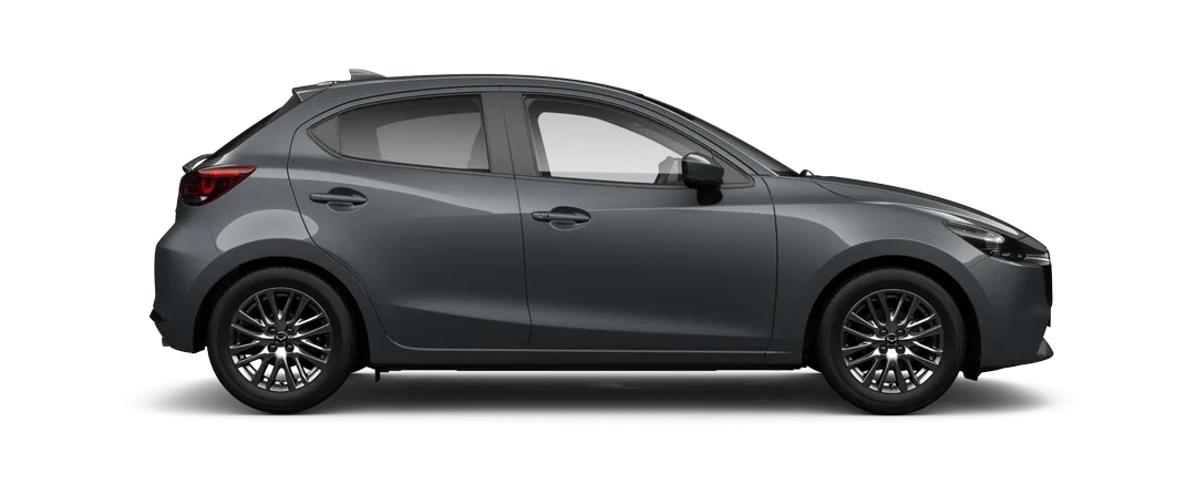 Polymetal Grey Metallic
