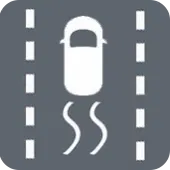 Electronic Stability Control Icon