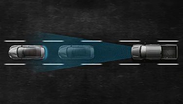 navara