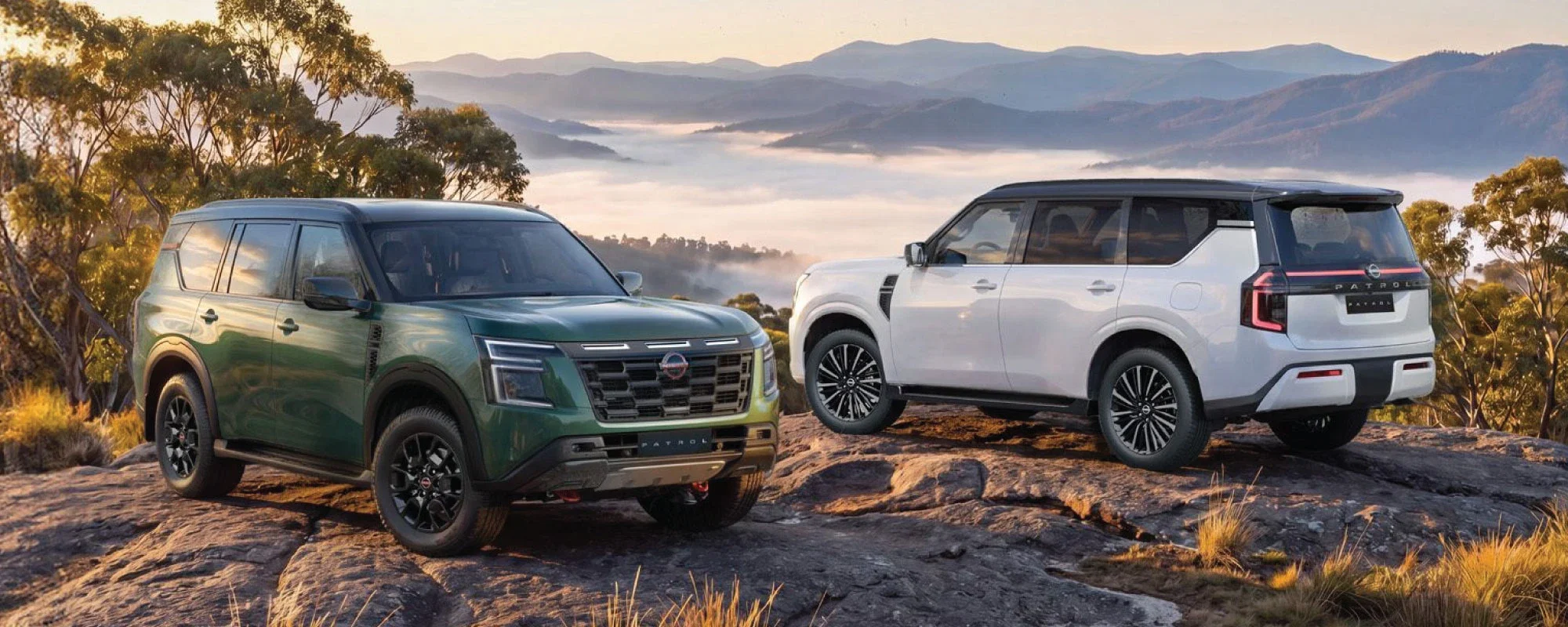 All New Navara