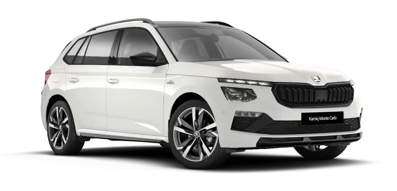 Kamiq Monte Carlo
