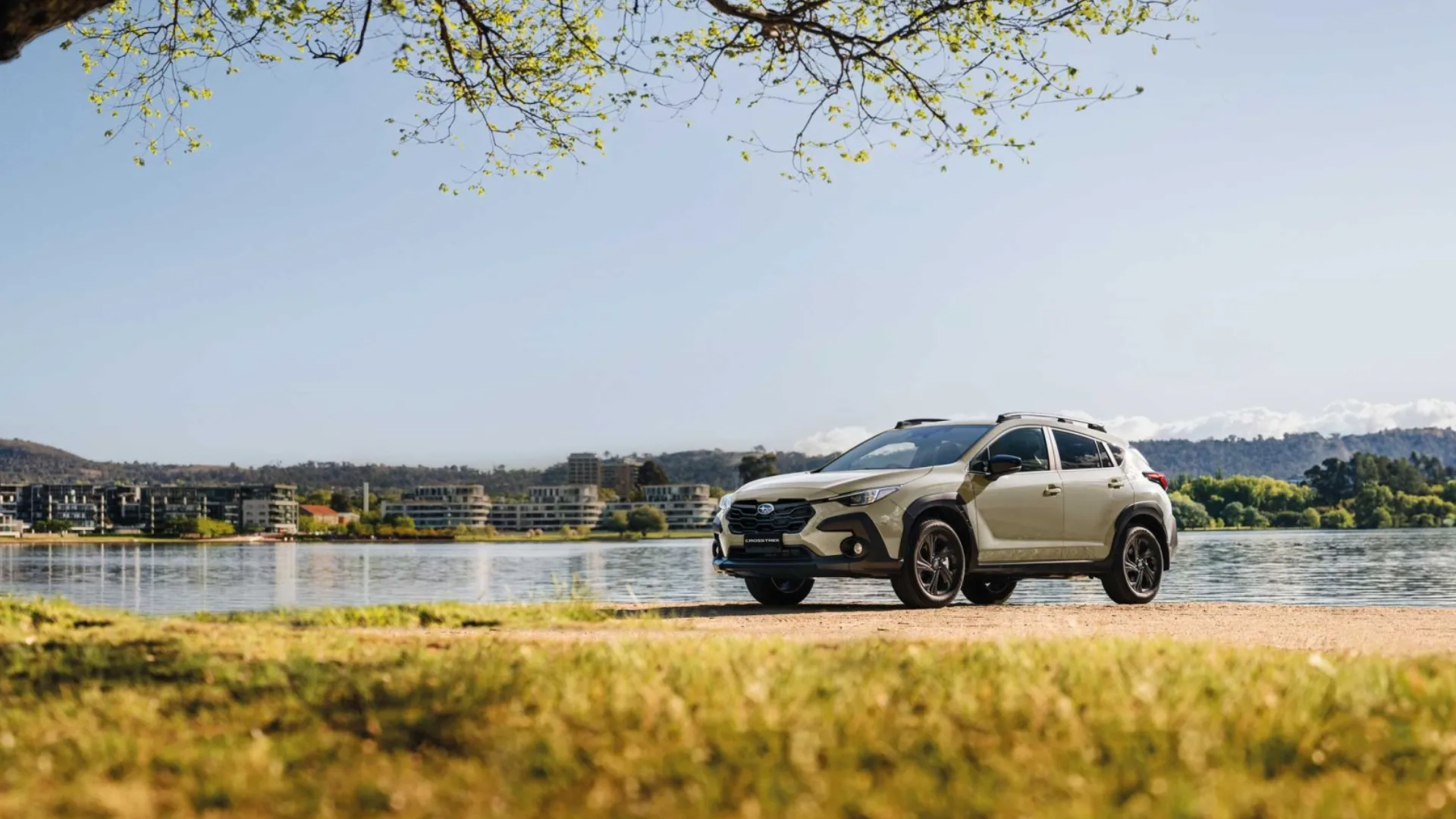 xv