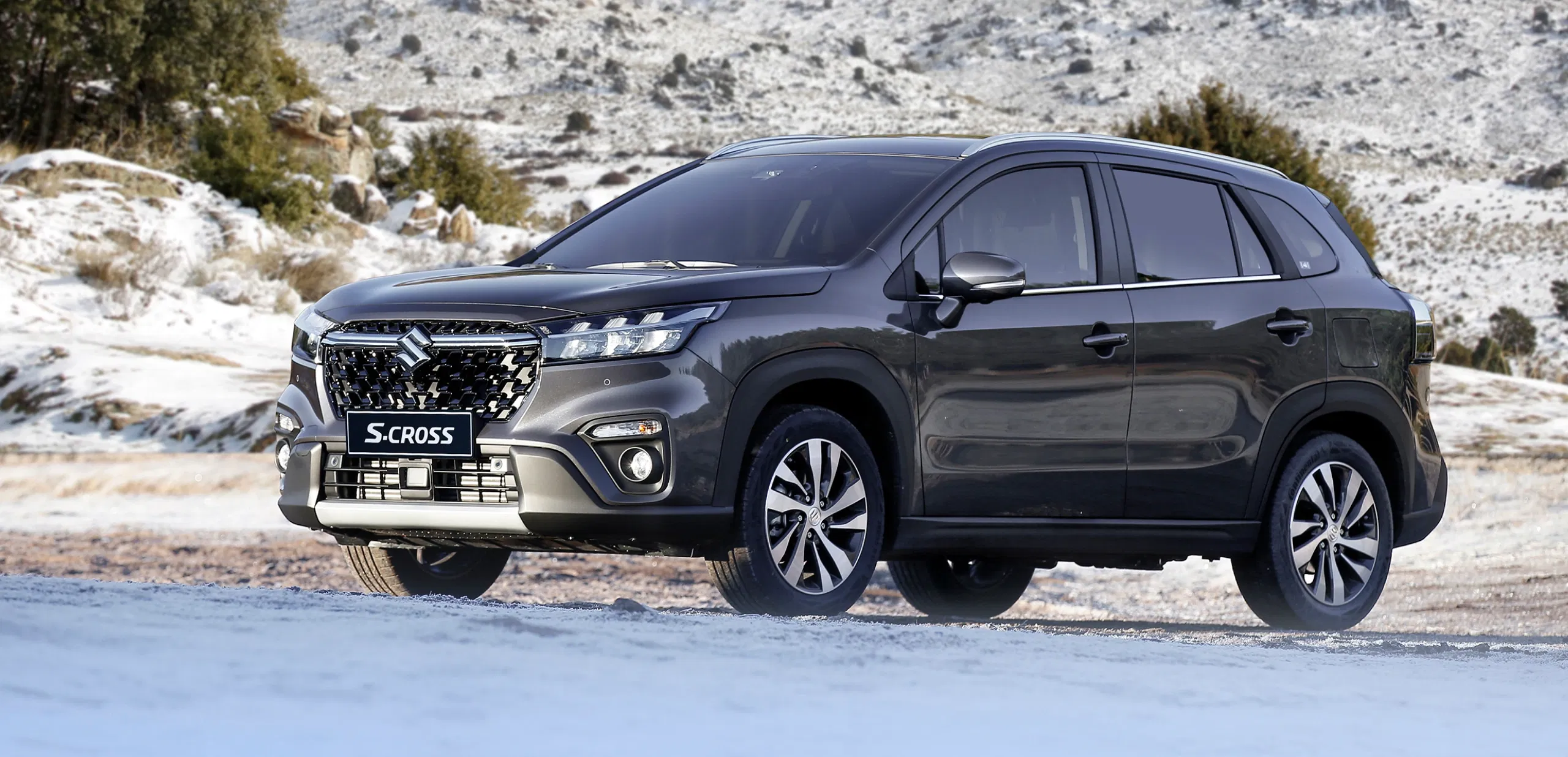 Rear view of the S-Cross SUV at sunset